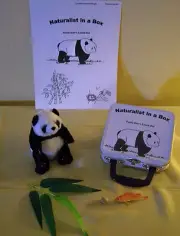 Panda Bear Naturalist Box Montessori lunch box educational toy nature homeschool