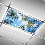 FALE QTUOM 2 Pcs Sky Trees Magnetic Fluorescent Light Covers, Ceiling Light Covers Shade Panel Coverings for Office Classroom Home Drop Ceiling, 4 X 2 Feet, Blue