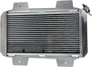 3 ROW ALUMINUM RADIATOR，Compatible With FIESTA I MK1 0.9L/1.1L M/T 1976-1983 1982 1981