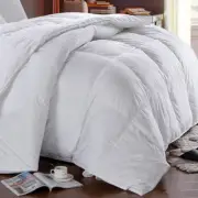 White Duck Down Comforter- Solid 300 Thread Count Shell All Seasons Duvet Insert