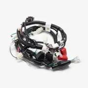 Wiring Loom for Lexmoto Tempest 125 Euro 5, Tempest GT 125 Euro 5 CMPO Loom Loom