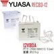 YUASA湯淺REC80-12 高性能密閉閥調式鉛酸電池~12V80Ah