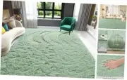 Sage Green Area Rugs Fluffy Rug for Bedroom Living Room, 4x6 Feet Indoor