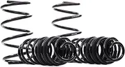 [Eibach] E10-81-016-04-22 Lowering Springs