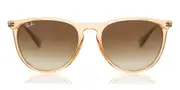 Ray-Ban RB4171 Erika 651413 Women Sunglasses