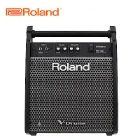 在飛比找Yahoo奇摩購物中心優惠-ROLAND PM100 電子鼓專用音箱