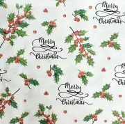 Paper Luncheons Decoupage Napkin Merry Christmas Napkin Decorative Packs of 20