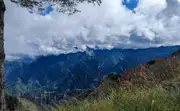 嘉義｜阿里山日月潭三日遊｜台北出發