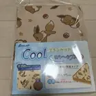 Pokemon Eevee Contact Cool Blanket reversible Cooling measures napping maturity
