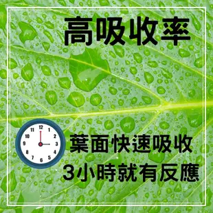 ( 現貨)鈣肥 肥料 螯合鈣 植物營養液 0.5L 奈米鈣硼精  開花肥 微量元素肥料 葉面肥料 農夫樂