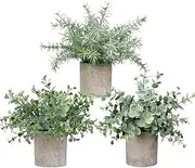 Mini Potted Artificial Plants, Eucalyptus, Boxwood, Rosemary, 21-23 cm Tall, Indoor Greenery, Tabletop Décor Centrepiece