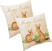 ULDIGI 2pcs Decorative Pillowcase Cover for Home and Car Stylish Easter Design for Sofa Couch Bed Chair and Housewarming Present