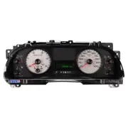 Synapse Auto S50-57SDDANRL Instrument Cluster Remanufactured, For 200 for Ford