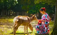 在飛比找KLOOK 客路優惠-清水寺&伏見稻荷大社&奈良公園一日遊/精品小團/可酒店接送 