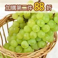 在飛比找台灣好農優惠-大村綠水晶葡萄(無籽)(2.5台斤) 第二件88折