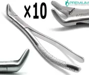 10× New Dental Extracting Forceps 151s Surgical Tooth Extraction 6" Instruments