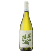 2024 i Lauri TAVO Pinot Grigio della Venezia DOC - Buy Online | The Wine Collective Marketplace