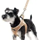 PUPTECK Dog Harness and Leash Set for Small Medium Dogs No Pull Step-in Soft Mes