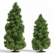 Busch 6123 - 1/87/H0 2 Larches 100 And 130 MM - New