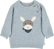 [Sterntaler] Emmi Baby Boys' Knitted Jumper Donkey, Blue