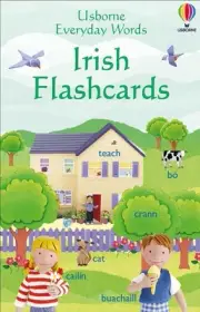 Everyday Words in Irish Flashcards by Felicity Brooks (English) Cards Book