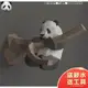 下殺-3D立體手工紙模型型 Funny Panda 爬樹枝熊貓 商場櫥窗美陳婚慶活動動物 訂製道具手工材料包 3D手工