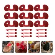 100 Pcs Chicken with Glasses Peepers for Pheasant Poultry Student Miss