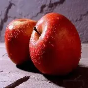 MacIntosh Apple Fragrance Oil Candle/Soap Making Supplies **Free Shipping**