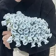 Flower Bouquet Blanket, Flower Bouquet Roll up Blanket Crochet, Crochet Flowers Rose Bouquet Blanket Handmade, DIY Knitting Kit or Finished Product (Large-Finished,Blue)