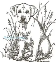 Dog Labrador Puppy Jade Wood Mounted Rubber Stamp Northwoods New P1742