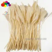 Milk yellow Stripped Coque Tail Feathers 6-8" pheasant Goose Crafts DIY Plumas