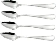 HEALEEP 4pcs Stainless Steel Spoons Set for Easy Scraping of Fruit Puree Safe for Apples Grapefruits Home Use Accessories