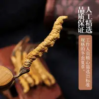 在飛比找蝦皮購物優惠-節日送禮正宗野生蟲草正品非西藏那曲冬蟲夏草無斷蟲草精品禮盒滋