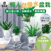 在飛比找蝦皮購物優惠-[現貨]盆栽 盆栽容器 盆器 室內盆栽 小盆栽 水耕盆栽 盆