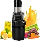 Masticating Juicer Machine for Whole Fruits and Vegetables, Cold Press Slow J...
