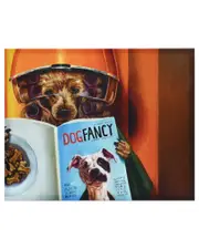 Empire Art Direct Spa Day Graphic Art Print On Wrapped Canvas Wall Art