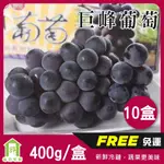 【每日宅鮮】免運｜台灣巨峰葡萄 400G±5% X10盒／箱｜卓蘭葡萄｜50年水果蔬果專家