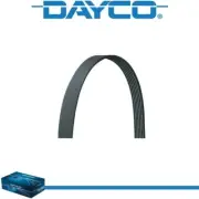 Dayco V-Ribbed Belt for FORD THUNDERBIRD 1982 V8-4.2L (for: Ford)
