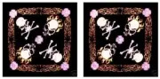 2 Bandana Skulls Cross bones Flames NEW set Head Neck Headband Biker Doo Rag
