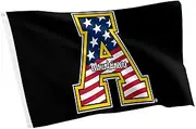 Desert Cactus Appalachian State University 100% Polyester Indoor Outdoor 3x5 feet Banner Mountaineers App State (Flag A)