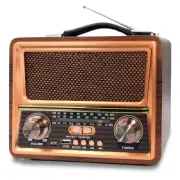 Retro Vintage Radio Bluetooth,Portable Radio AM FM SW with Best Sound, AC, 12...