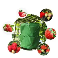 在飛比找樂天市場購物網優惠-草莓土豆種植桶 圓形開口毛氈花園蔬菜營養植物袋種植包