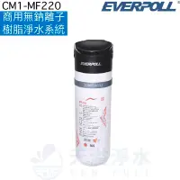 在飛比找有閑購物優惠-【EVERPOLL】商用無鈉離子樹脂淨水系統CM1-MF22