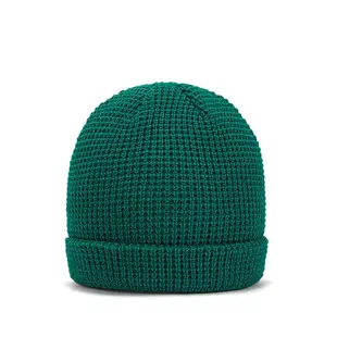 Dickies男女款砂金石綠品牌Logo織標華夫格針織毛帽|DK012244F96