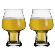 NEW Luigi Bormioli Birrateque Cider Glass Set 2pce