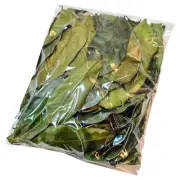 Dried Soursop Leaves – 100% Organic Graviola Tea – Natural Hojas de Guanabana