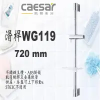 在飛比找蝦皮購物優惠-Caesar 凱撒 WG119 滑桿 可調整 SPA淋浴用 