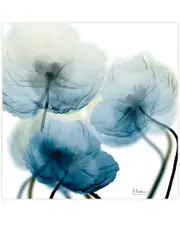 Empire Art Direct Unfocused Beuaty 1 by Albert Koetsier Wall Art