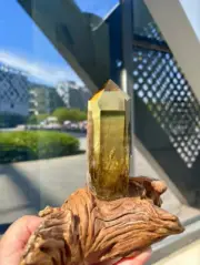 1.62LB Top Natural citrine Quartz obelisk Crystals Tower Point Wand Reiki
