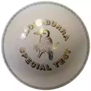 Kookaburra Special Test 2PC Cricket Ball 156g White - Australian Made